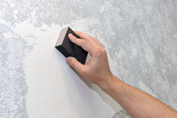 Best Post-Construction Mold Inspection  in Posen, IL