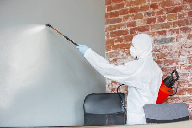 Best Dehumidification Services  in Posen, IL