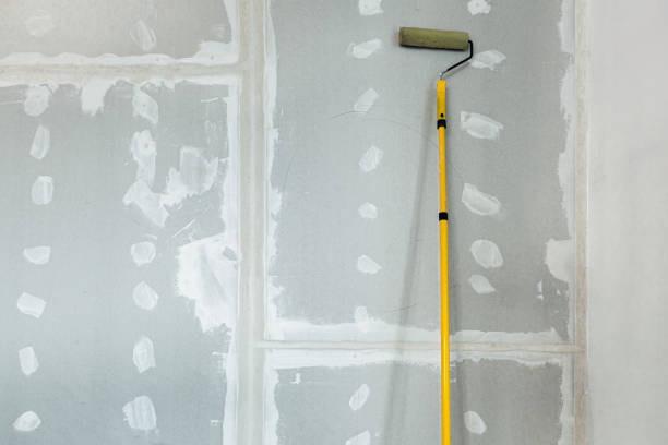 Best Mold Remediation for Healthcare Facilities  in Posen, IL