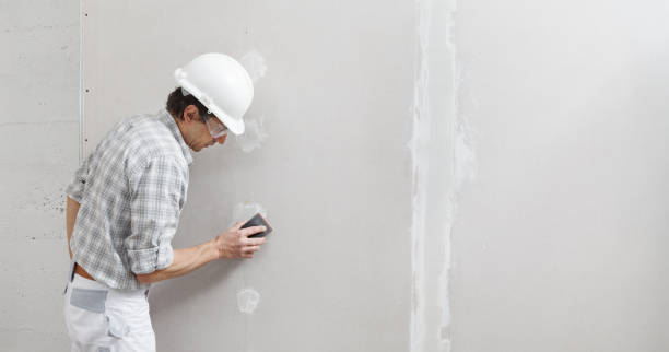 Best Mold-Related Health Consultation  in Posen, IL