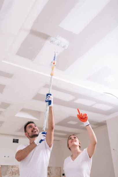 Best Mold Remediation for Healthcare Facilities  in Posen, IL