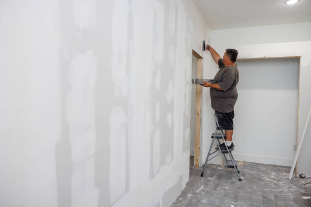 Best Comprehensive Air Testing for Mold Contaminants  in Posen, IL