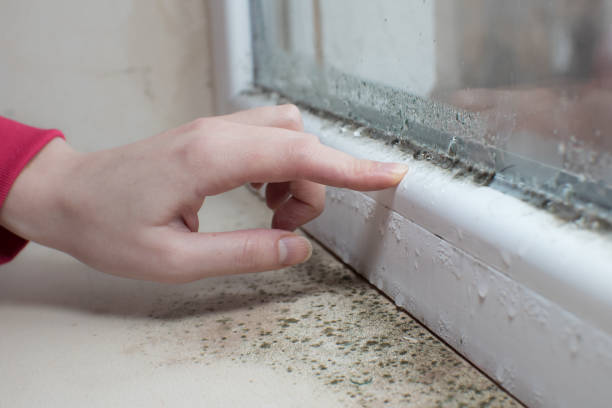 Best Airborne Mold Testing  in Posen, IL
