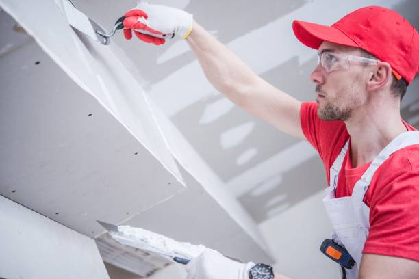 Reliable Posen, IL Mold Removal Solutions